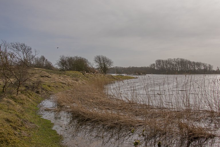 amsterdamse-waterleidingsduinen-2.jpg