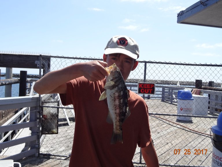 PB Calico Bass.JPG