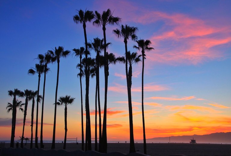 Venice Beach LA.JPG