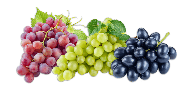 Grapes.png