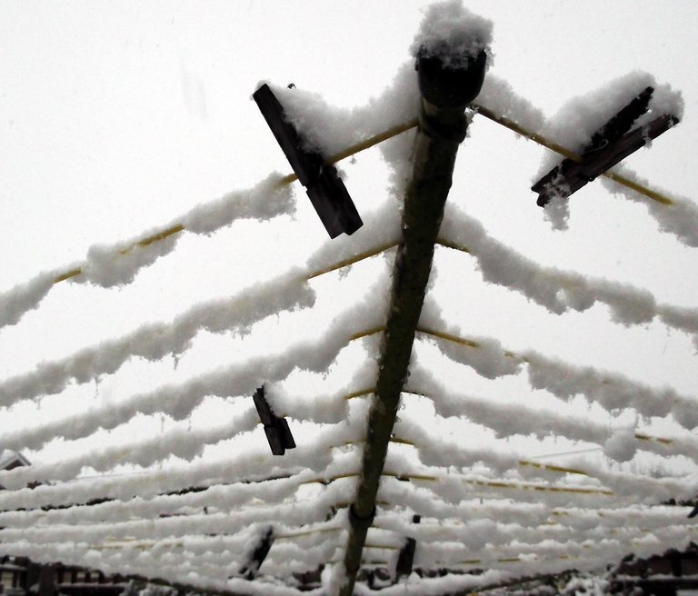 snow covered clothes line cobweb shaped.jpg