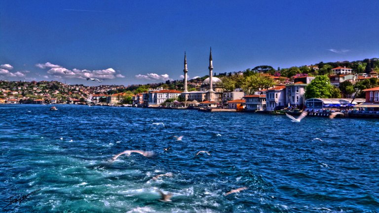 332232_bosphorus-cruise2.jpg