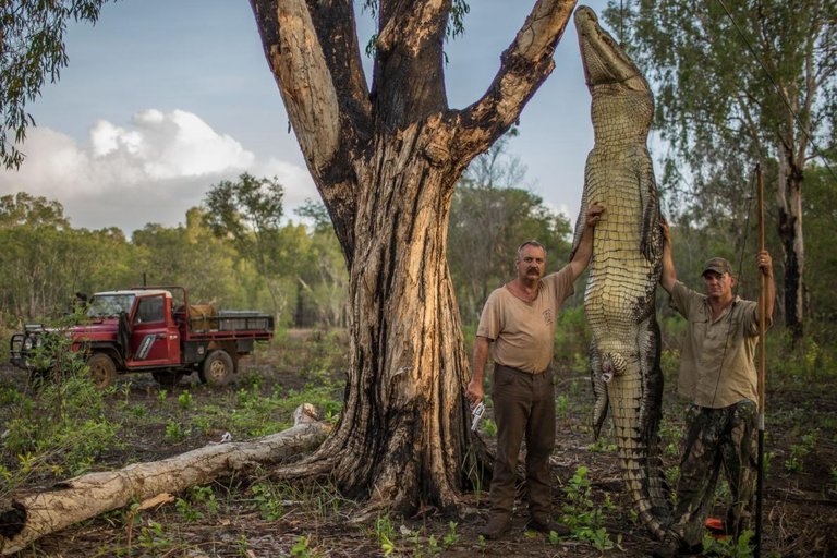 28-best-crocodile-hunters-australia-conservation-30.adapt.1190.1.jpg