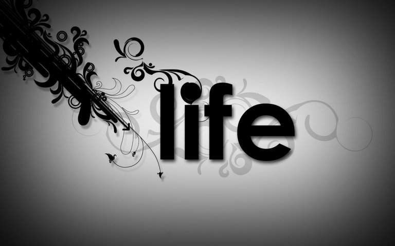 life-1280x800.jpg