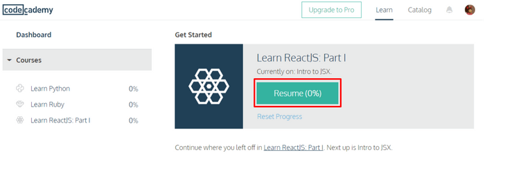 Codecademy-3.png