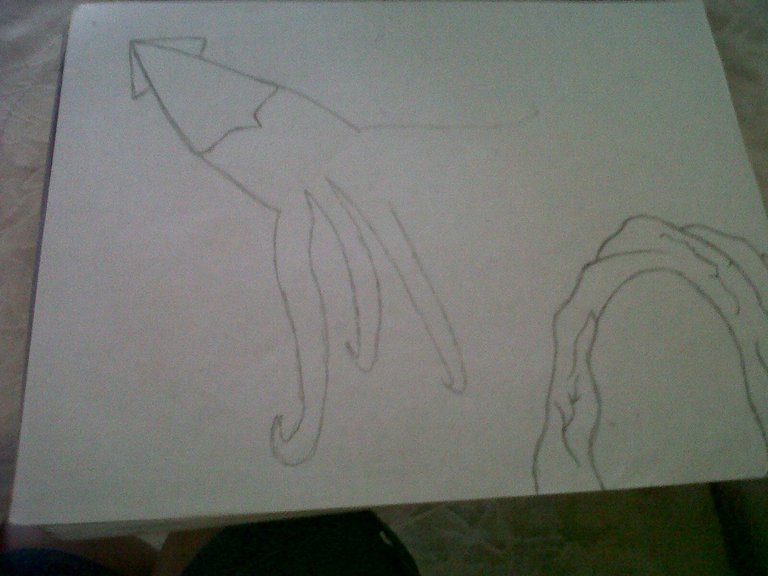 IMG-20180515-00617.jpg