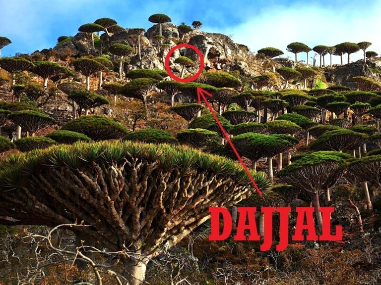 664xauto-misteri-pulau-socotra-yang-konon-jadi-tempat-sembunyi-dajjal-1608221.jpg