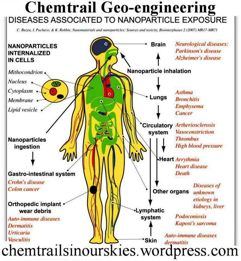 nanochart.jpg