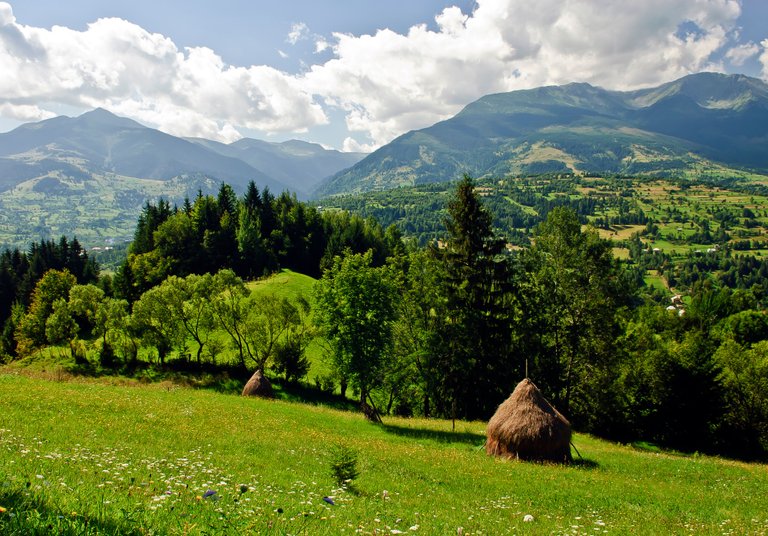 pietrosu-mare-carpathians-mountains-romania-bucovina.jpg