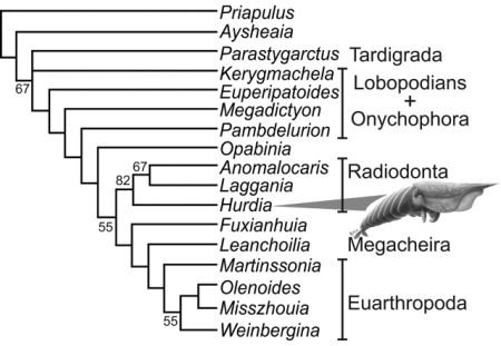 Daleyetal2009fig4.jpg