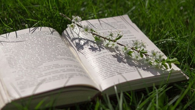 book with flowers