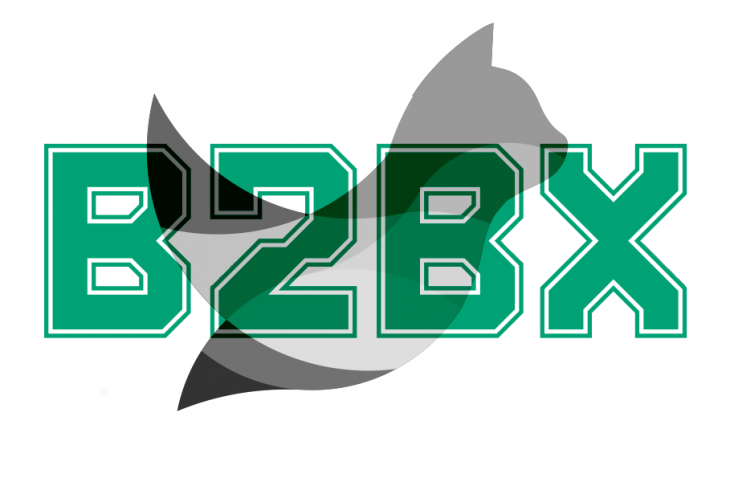 b2bx-1-730x482.png