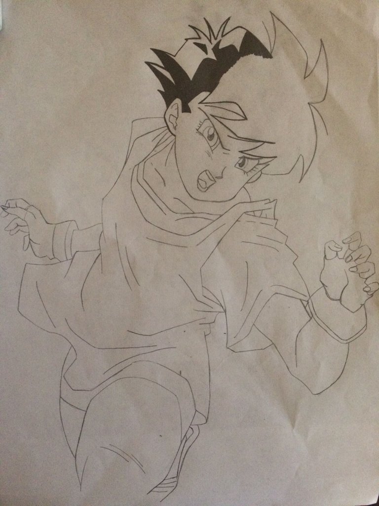 videl 8.JPG