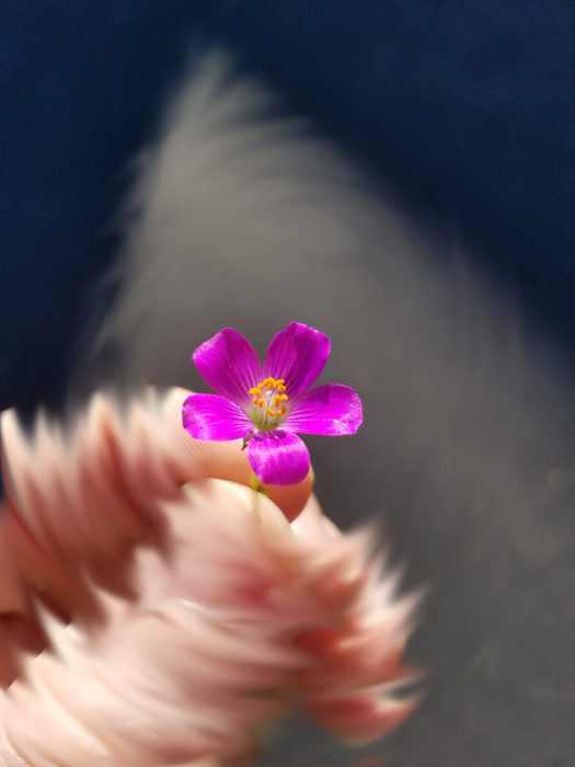 pink flower under water-small.png