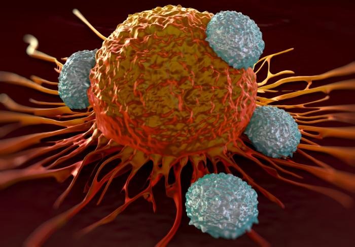 t-cells-attacking-cancer-cells.jpg