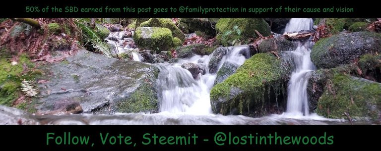 @familyprotection Footer.jpg