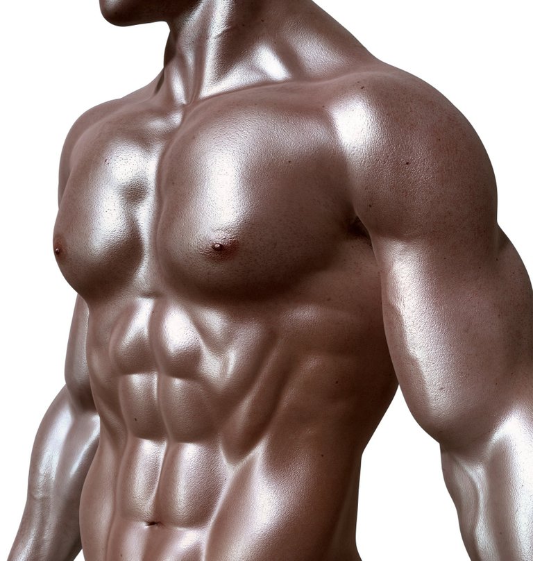 bodybuilder-331670_1920.jpg