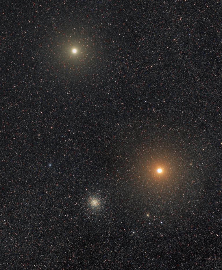 21644.jpg