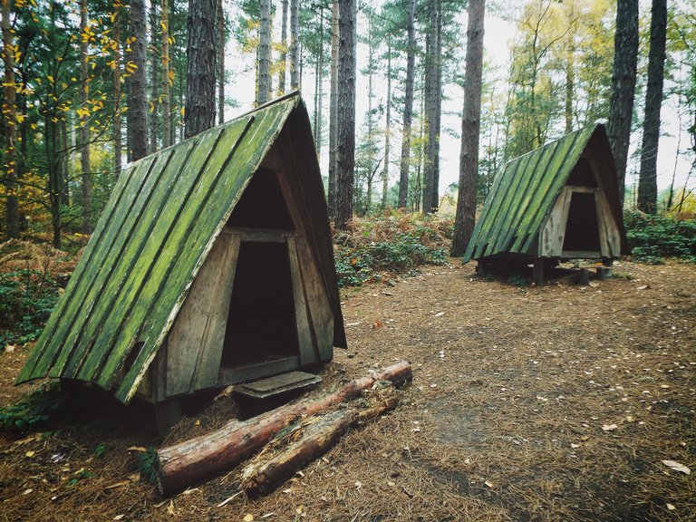 huts2.JPG