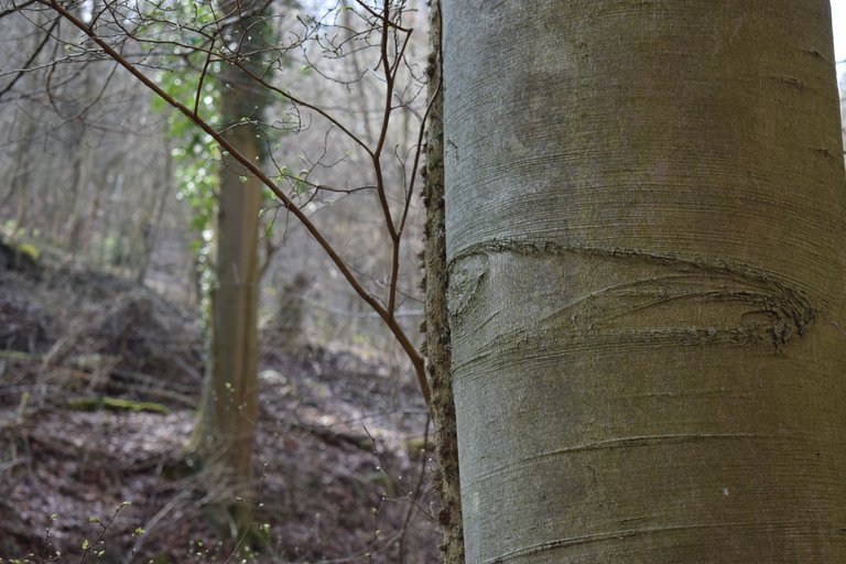 DSC_0109.JPG