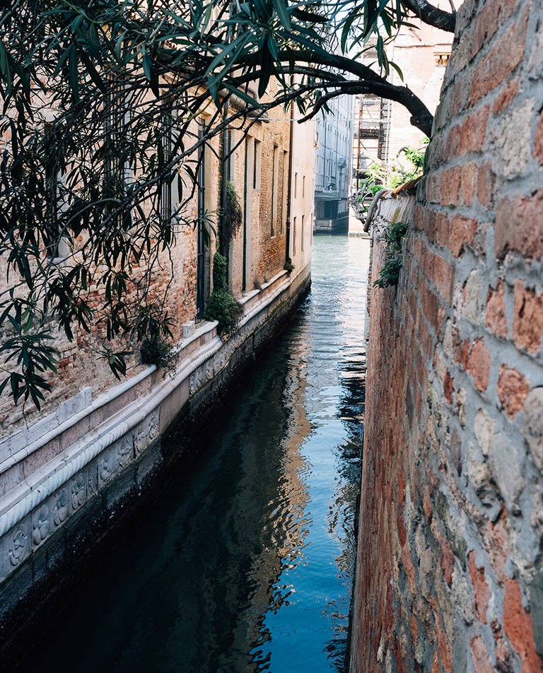 venice12.jpg