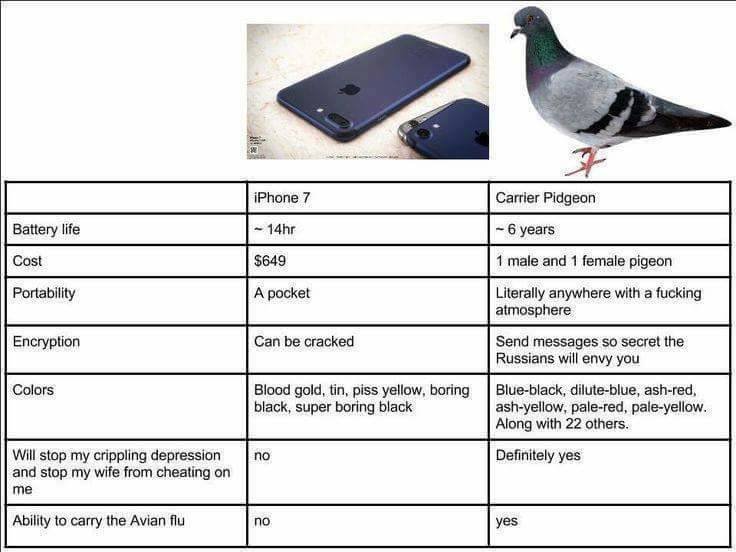 Iphone 7 vs Carrier pigeon.jpg