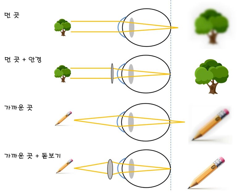 원시 수정.jpg