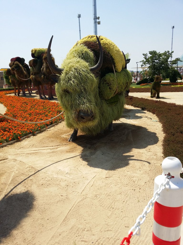 20160715_144436.jpg