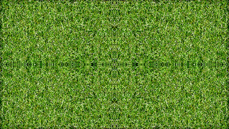 grass mandala.png