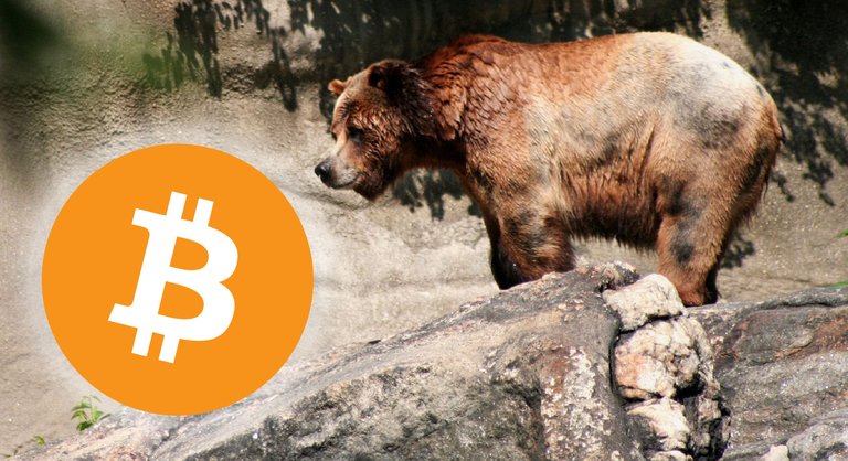 BTC-Bear.jpg