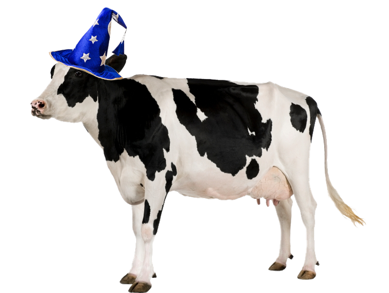 magic-cow.png