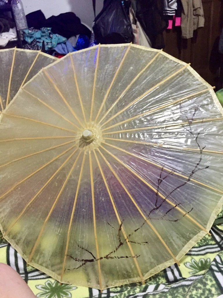 parasol 1.jpg