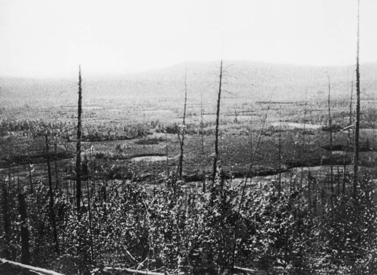 tunguska-trees.jpg