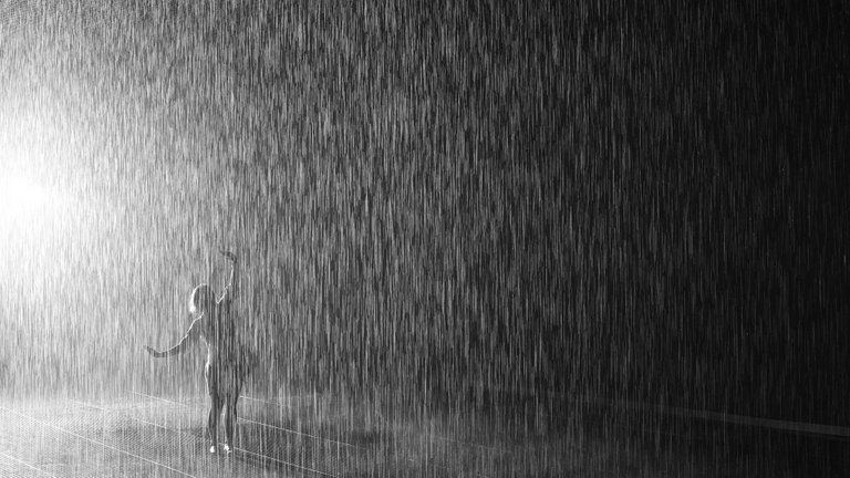 terranea-life-rain-room-lacma-1.jpg