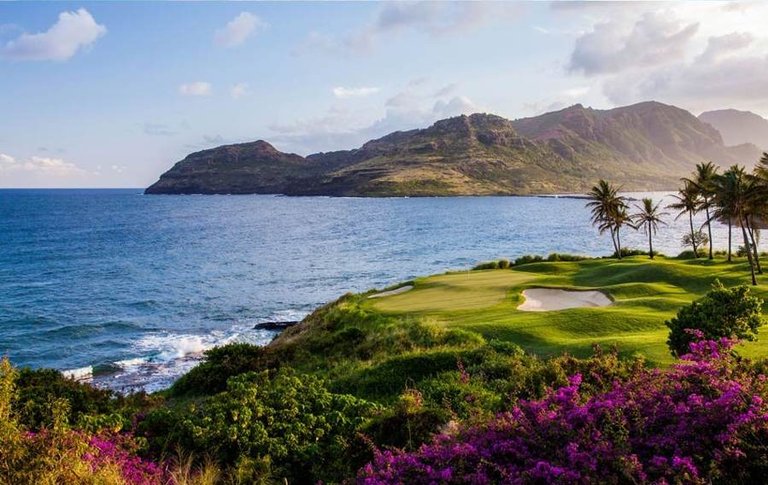 hawaii-hotel-golf-course-small.jpg