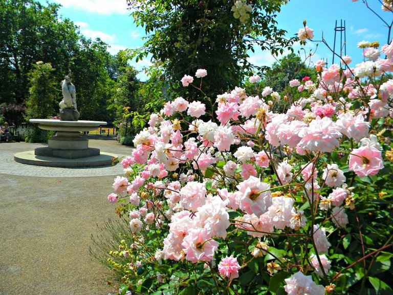 picnicking-in-hyde-park-london-girlinchief-2.jpg