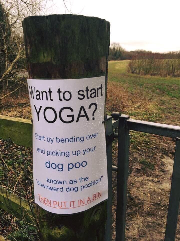 IrishYoga.JPG