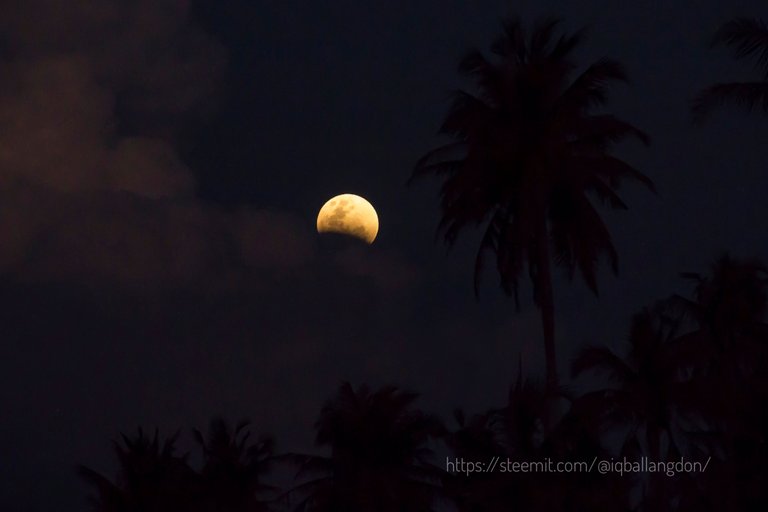 Superbluebloodmoon_iqballangdon_1517461342194-01.jpeg