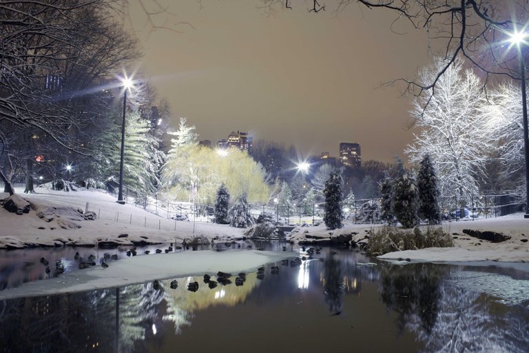 city-park-trees-winter-snow-lights-653385-wallhere.com.jpg