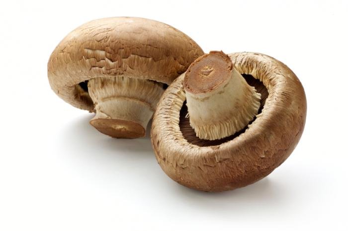 mushrooms.jpg