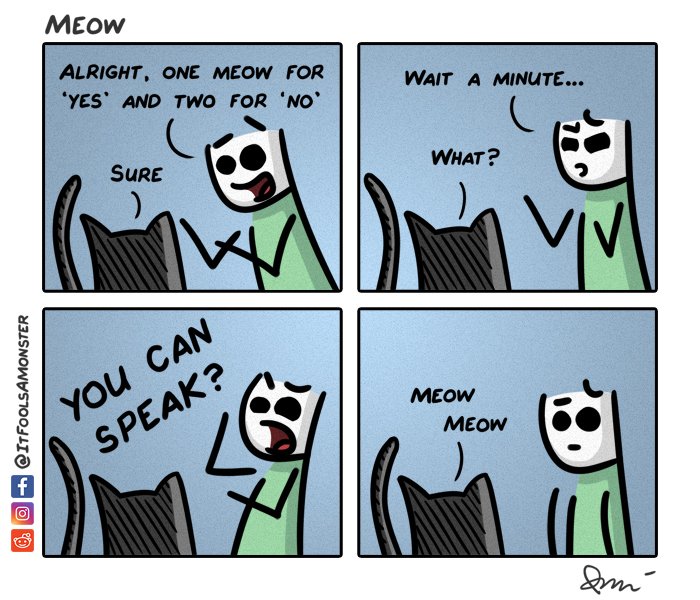 meow.jpg