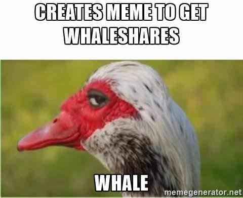 mysideeyememe-creates-meme-to-get-whaleshares-whale.jpg