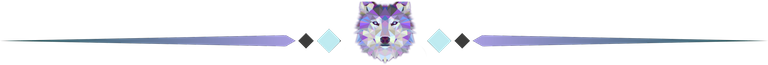 wolf divider1.png