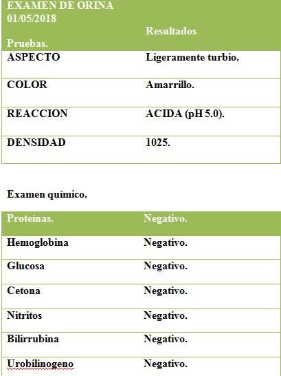 examen de orina ofidio.jpg