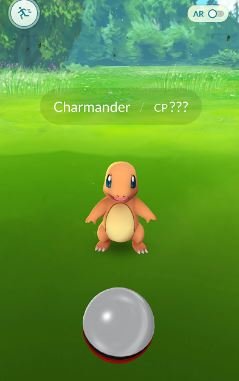 charmander3.JPG