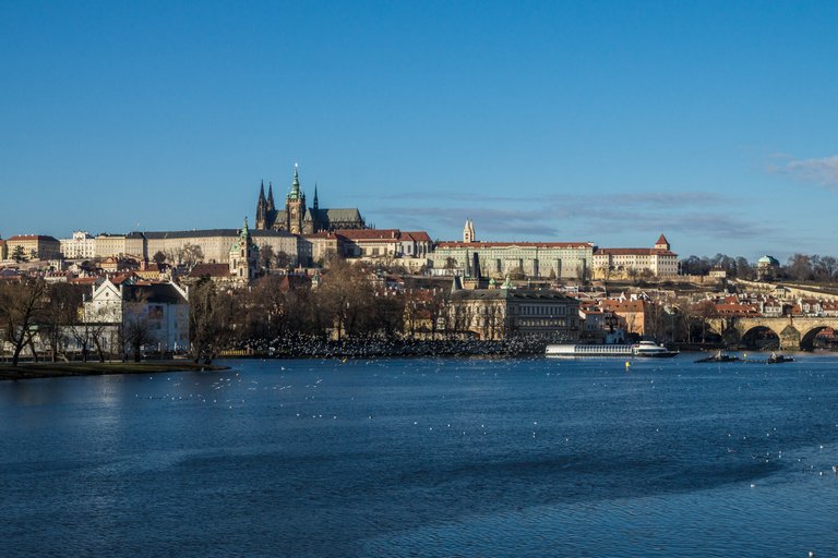 prag-05794.jpg