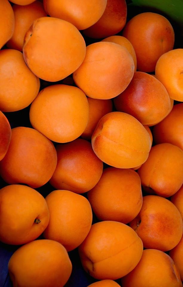 Apricots_1024x1024.jpg