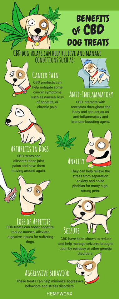 CBD Dogs 2.png