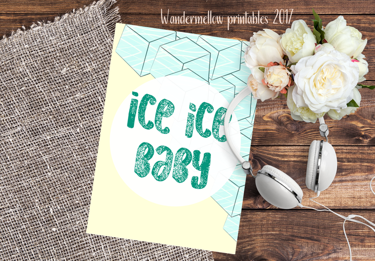 Poster2 WandermellowNo16 Ice ice baby.png