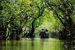 Ratargul_Swamp_Forest,_Sylhet..jpg